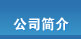 公司简介